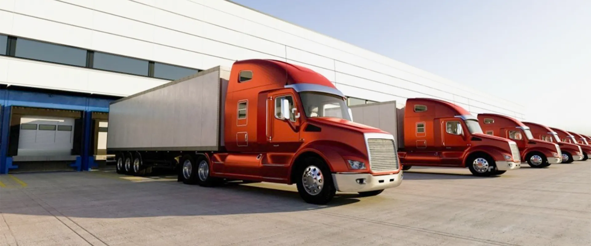 Shipper - Day Dispatch